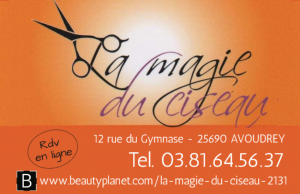 LA MAGIE DU CISEAU